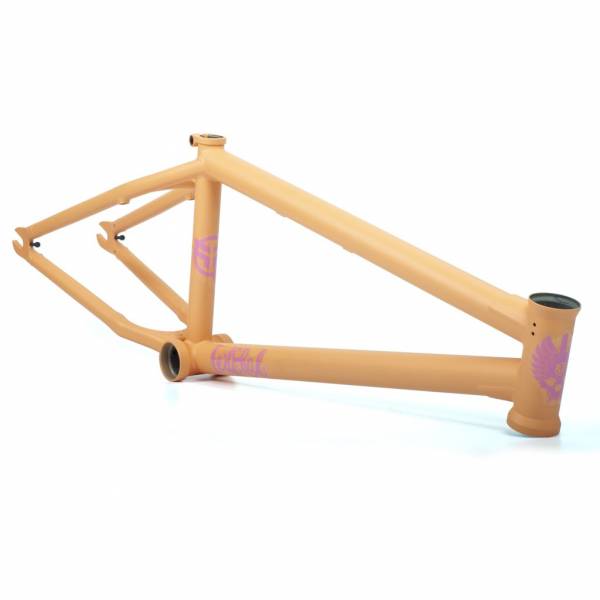 federal anthony perrin frame